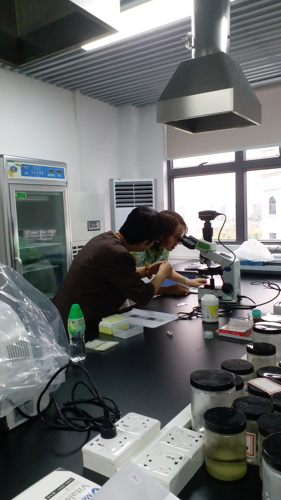 檢驗檢測機構(gòu)資質(zhì)認定CMAl擴項輔導(dǎo)專題--生物技術(shù)專題 檢驗檢測機構(gòu)資質(zhì)認定CMAl擴項輔導(dǎo)專題--生物技術(shù)專題